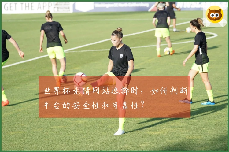 世界杯竞猜网站选择时，如何判断平台的安全性和可靠性？