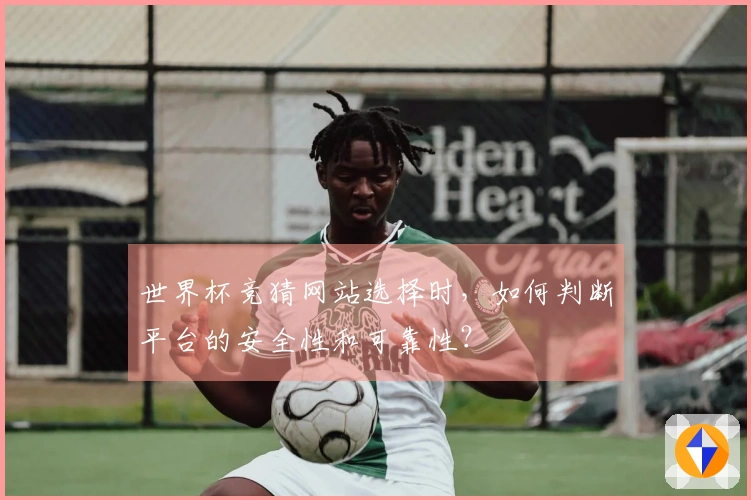 世界杯竞猜网站选择时，如何判断平台的安全性和可靠性？