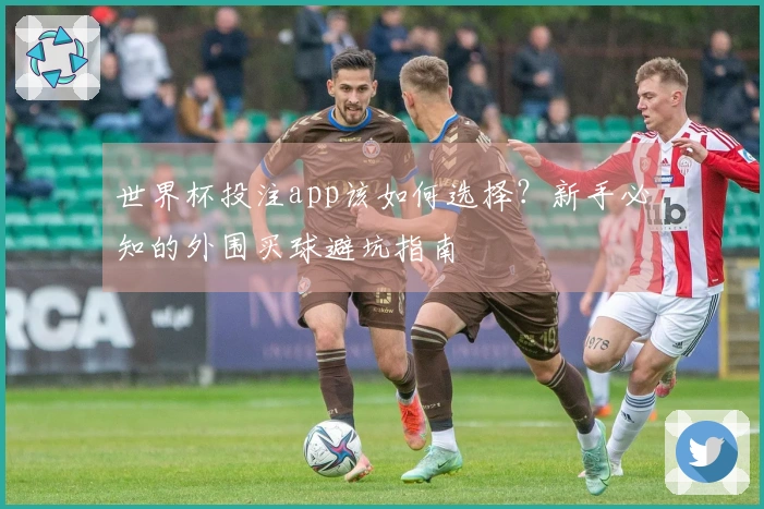 世界杯投注app该如何选择？新手必知的外围买球避坑指南