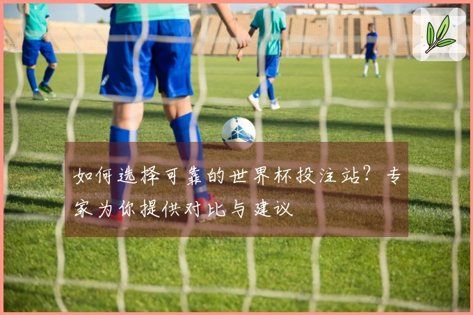 如何选择可靠的世界杯投注站？专家为你提供对比与建议