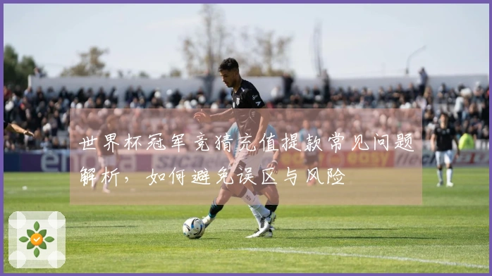世界杯冠军竞猜充值提款常见问题解析，如何避免误区与风险