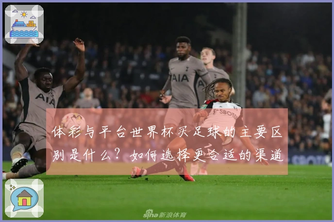 体彩与平台世界杯买足球的主要区别是什么？如何选择更合适的渠道？